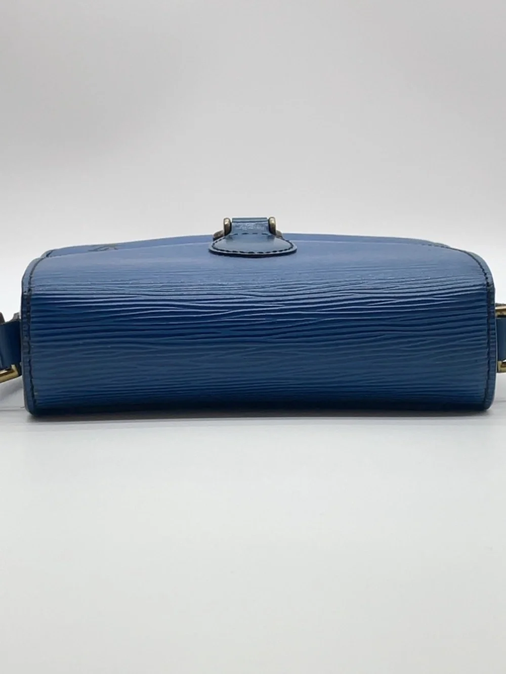 Louis Vuitton authentic louis